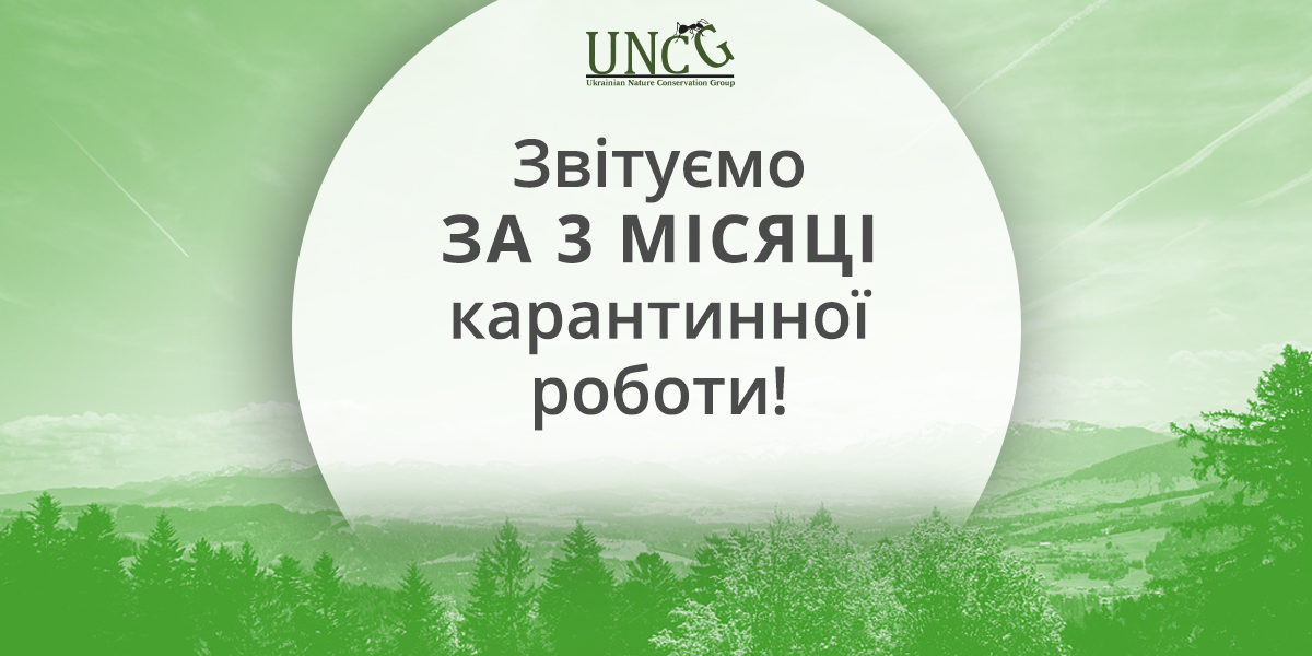 Звітуємо за 3 місяці карантинної роботи!